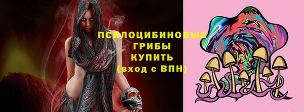 шишки Михайлов