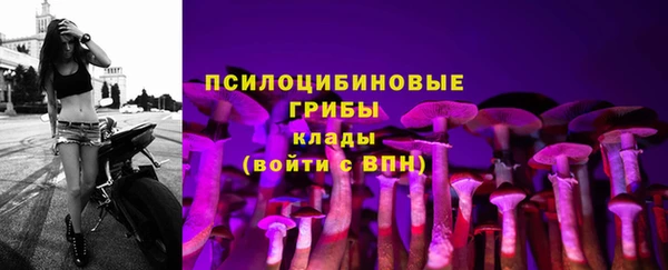 эйфоретик Медвежьегорск