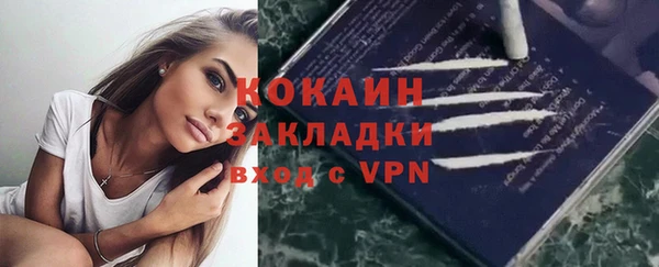шишки Михайлов